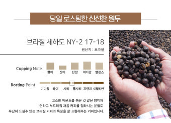 콩스콩스 원두 커피 1kg 베트남 로부스타 블루드래곤 워시드 G1 홀빈 원두콩 당일 로스팅 : 콩스콩스