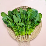 포천 연하고 짧은 찐 어린열무 얼갈이 반반 2kg 농가직송 : 채소한의식탁