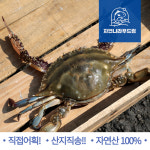 국내 서해안 숫 꽃게 살꽉찬 10kg 급냉 소 중 대 조업 대용량 업소용 태안 : - 자연나라푸드림 -