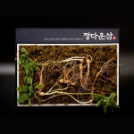 정다운삼 산양산삼 산양삼 장뇌삼 7년근 10 뿌리 초복 중복 말복 복날 보양식 : 정다운삼