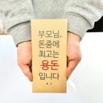 3종세트 돈봉투 부모님생신 어버이날 현금 예쁜봉투 : 수니상점