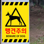 맹견주의 BEWARE OF DOG (디자인2) 10x15cm pvc스티커 dog987-2 : 라 벨 비