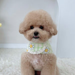 개달당 라임꽃 강아지 고양이 선캡 모자 턱받이 2종 SET : 개달당
