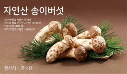 국내산 냉동자연송이버섯(500g) 선물 세트 원산지국산 : 한국송이산삼
