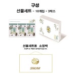 그린커피 커피가 되어버린 차가 반해 클차 선물세트 30개 : 자이스토어