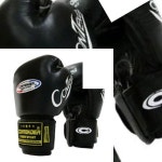 Speed CGG-104BK 스페셜 글러브 가죽 검정 권투 복싱 : 준테크몰