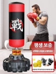 리듬복싱 다이어트복싱 가정용샌드백 뮤직복싱 복싱다이어트 스마트 피트니스 샌드백 : 펠레스엣비눔