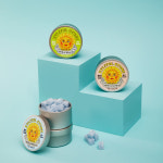 [화이트데이N]자일리톨 사탕 캔디 3종 세트 페퍼민트부스터 커피 레몬 선물 답례품 : 자일리톨 스톤