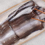 맛통해 불끈불끈 통영 바다장어 1kg : 맛통해