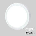 비츠온 메가맨 LED 원형직부등 15W 주광색 블랙/화이트 IP65 KS : 용산비츠온