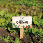 텃밭팻말 원목 간판 우드 어린이집 유치원 화단 푯말 이름표 행복텃밭 M 150x88mm : 디지우드