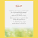 리포좀 비타민씨 흡수율높은 리포조말 비타민C 수용성 500mg 2통 : 리치부엉이