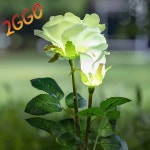 꽃모양 LED 야외조명 장미꽃조화 잔디등 태양광 에쁜 : 이꼬컴퍼니 도매할인 직판장