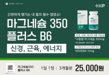 [플러스엑스팜] 마그네슘 350 플러스 B6 (3개월분) : 쑨약사팜
