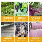 PP로프 다용도 밧줄 현수막 끈 코팅 와이어 원예 : 마이카트.