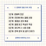 (문해력 강의)글쓰기 일머리 말귀가 좋아지는 성인 문해력 수업 일대일 맞춤코칭 : 북렌즈