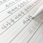 글씨를 수놓다 볼펜 5개 패키지 / 젤펜 손글씨 캘리그라피 다꾸 필사 악필교정 : 글씨를수놓다