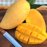 태국 골드망고 2kg 5kg 5키로 남독마이 생망고 수입과일 세트 : 산해직송