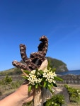 차롱멍밥 오리목뼈5개입 제주친환경 수제간식 : 차롱멍밥