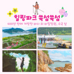 [6월&고흥] 바다위 천상화원  쑥섬 : 초록배낭