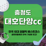 대호단양cc 1박2일 충청도 골프 패키지 서울 근교 3인 4인 플레이 : GIANTGOLF