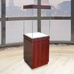 골동품 진열장 캐비닛 박물관 유물 전시장 고급 매장 40x40x180cm : 포지티브플러스샵