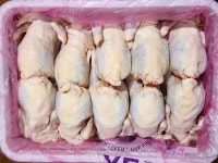 국내산 생닭 성계 노계 1.4kg 이상 10마리 백숙용 냉동(벌크) : 싱그린에프에스