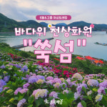 [6월&고흥] 바다위 천상화원  쑥섬 : 초록배낭