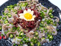 벌교 갯벌에서 직접잡은 산낙지 뻘낙지 : 벌교꼬막왕자