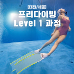 [대전, 세종] 프리다이빙 Level 1 - AIDA, PADI, SNSI, UTA : One Dive Shop