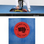 태권도 플라스틱 격파판 조립 훈련 연습용 운동용품 5장 격파용 레드(5장) : AW STORE