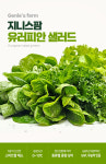 지니스팜 무농약 유럽형 샐러드 쌈채소 1kg 인도어팜 수경재배 : 지니S팜