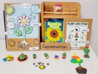 앤플놀이영어 7 : N.PlaySchool