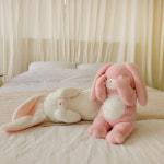 보들보들 사랑스러운 토끼인형 부끄러버 30cm 화이트 핑크 2종 봉제인형 : 돈앤돌스