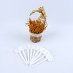 집모양 푯말 작물 대형 화분 이름표 표시 화단 네임텍 : 가성비 생활용품몰