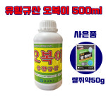 유황규산 오복이 500ml 1개+쌀쥐약50g 1개 덤 : 자연건강메디컬