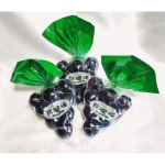 쿄호젤리 거봉젤리 3봉지 세트 ( 신규격 1봉지 = 11알 ) : 미라보상점