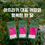 카페에버 아프리카 한달커피 소용량 3종 334g 3봉 : 카페에버