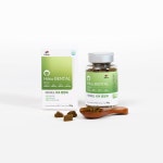 하이비오 프리미엄 인섹트 덴탈 영양제 90g 강아지 구강영양제 입냄새 치석 염증 치아관리 : 멍뭉몽