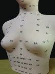 경락 마사지 실습 마네킹 경혈 피부관리 혈자리 지압 : 트리즈직구