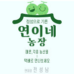 26년 첫 함안 연이네농장 산지직송 선물용 고당도 노을메론 4kg : 연이네메론