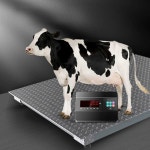 톤백저울 계근대 플로어 저울 고중량 우형기 농업용 : 오술래