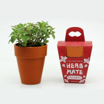 씨앗 허브 재배키트 반려식물 키우기 화분재배키트 4종 : 비츠원