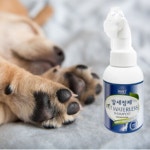강아지 발세정제 풋 클렌져 발샴푸 고양이 드라이샴푸 워터리스 샴푸 애견 발바닥 300ml : 케이치하우스
