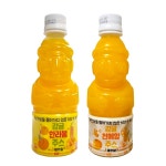 제주향 감귤착즙주스 한라봉5병 천혜향5병 : 제주아이