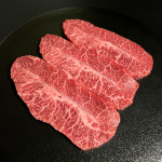 [부채살] 1++ BMS No.9 등급 마장동 숙성 한우 구이용 소고기 200g ~ : 대호축산