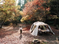 스노우피크 텐트 랜드록 아이보리 TP-671IV 랜드락 : 타카라 스토어