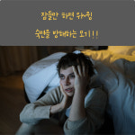 전기모기채 날파리 초파리 전기채 전자 파리채 날벌레 나방 러브버그 해충퇴치기 : 메리해피인