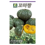 다농 꼬마짱 단호박 씨앗 100립 단맛 단호박 씨 미니 밤호박 종자 : 늘품씨앗