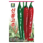 다농 신홍고추 씨앗 50립 텃밭 주말농장 베란다야채키우기 고추종자 매운고추씨 : 늘품씨앗
